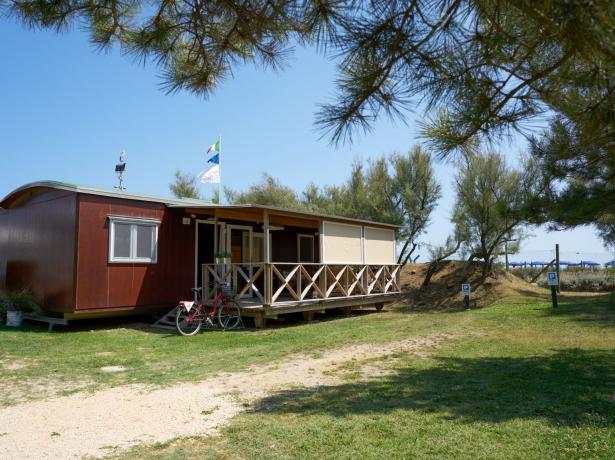 campinglido en weekly-package-of-june-in-mobile-home-in-camping-village-in-bibione 022