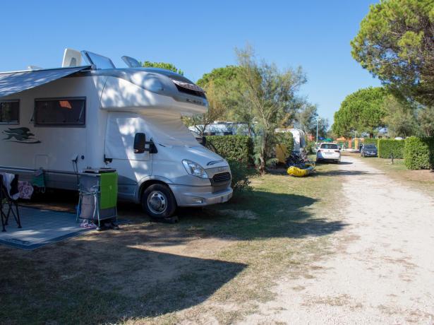 campinglido en holidays-on-a-pitch-in-pine-forest-by-the-sea-in-bibione 020