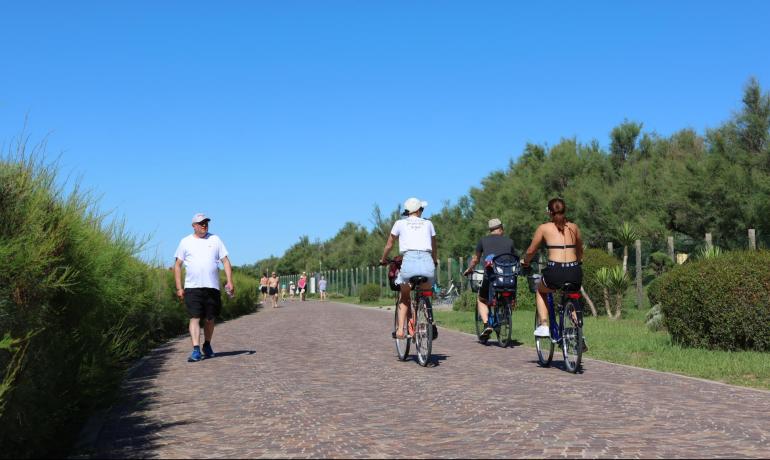 Menschen gehen und radeln auf einem sonnigen Weg.