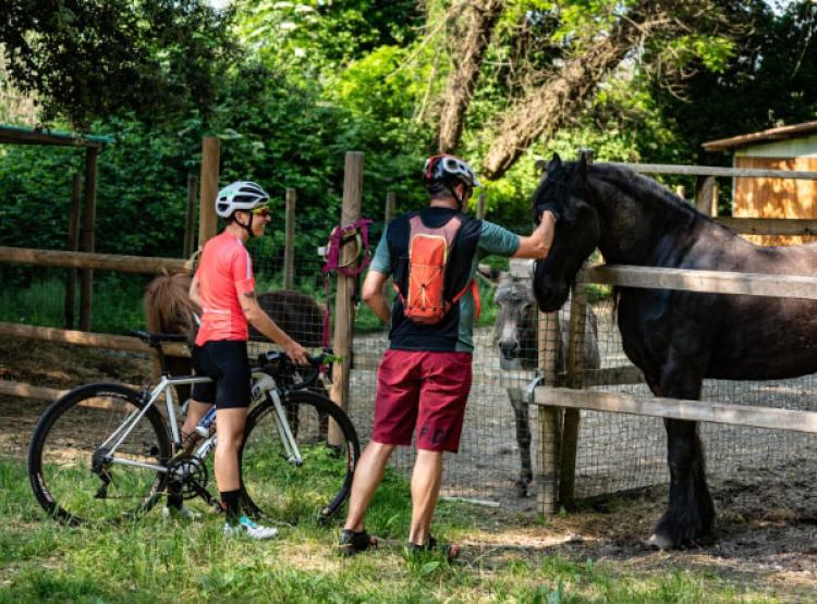 campinglido nl sport-camping-lido-bibione 019